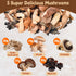 5 5oz(140g) kinds Dried Mixed Wild Mushrooms for Cooking, Dehydrated Mushrooms Including Porcini Shiitake Oyster