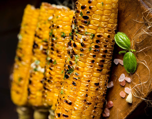 Premium | CORN ON THE COB Seasonings | Variety 2 Pack | Nacho Cheese | Mexican Street Corn | Large Shakers | Small Batch