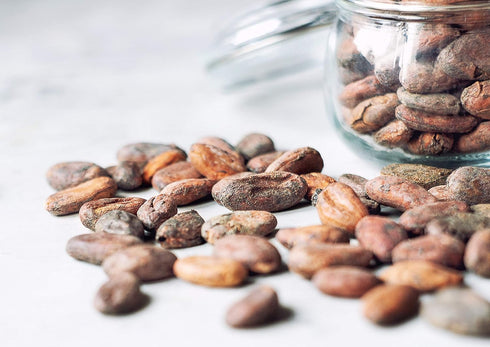 2 Food to Live Organic Cacao Beans, Pounds - Non-GMO, Keto, Vegan, Dry, Bulk, Rich in Dietary Fiber, Copper, Manganese