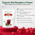 1 lb Z Natural Foods Organic Red Raspberry Juice Powder - Antioxidant-Rich Superfood - Powdered Raspberries for Baking