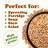 3 Food to Live Organic Einkorn Wheat Berries, Pounds Non-GMO, Good Source of Protein, Fiber, and Vitamins, Low-glycemic