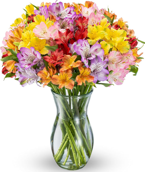 Benchmark Bouquets Alstroemeria Bouquet Fresh Flowers for Delivery Long Lasting Peruvian Lily
