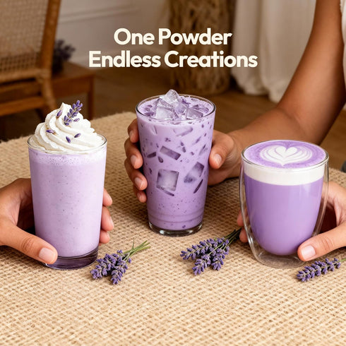 Frozen 2Lbs SLOJO Lavender White Chocolate Powder Premium Drink Mix for Hot & Cold Beverages, Gourmet Powder, Vegan