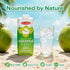 Cocoking 16.9 Oz (Pack 12) Thai Coconut Water Pure Nam Hom Coconuts Natural Electrolyte Drink No Added Sugar, Not from