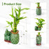 3-Stalk Set 6'' 6'' 8'' Lucky Bamboo with Pebbles in Elephant Pineapple Pot Live Houseplant for Good Fortune