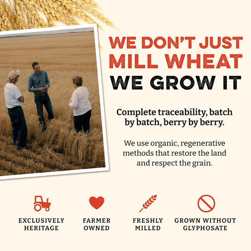 (80 (Pack 1)) Sunrise Flour Mill Heritage Hard Red Wheat Berries (Turkey Red) Ounce of Certified Organic | Non-GMO |