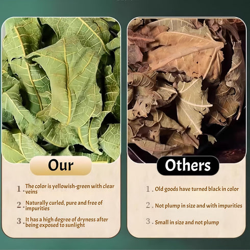 GXXDMZAQ 2.12oz (60g) Premium Dried Whole Fig Leaves - Bulk Loose Leaf Tea | Sun-Dried, Non-GMO, Caffeine-Free, Natural