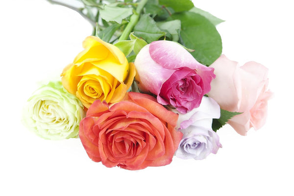 KaBloom - Rainbow Roses (Half Dozen)- Fresh Flowers for Birthday, Valentine's &