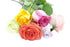 KaBloom - Rainbow Roses (Half Dozen)- Fresh Flowers for Birthday, Valentine's &
