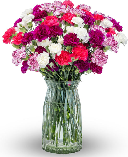 Benchmark Bouquets Mini Carnation Bouquet Mothers Day Flowers for Delivery Pink White