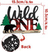 Lumberjack Wild One Cake Topper, Buffalo Plaid Camping Wild Bear 1st Birthday Cake Decor, Baby Birthday Party