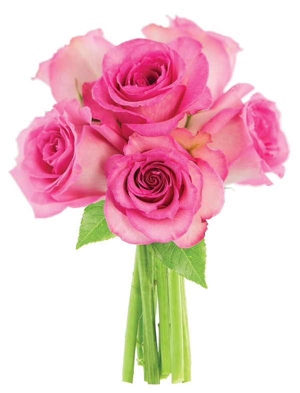 KaBloom PRIME NEXT DAY DELIVERY - Fall Collection - Sweet Pink Bouquet