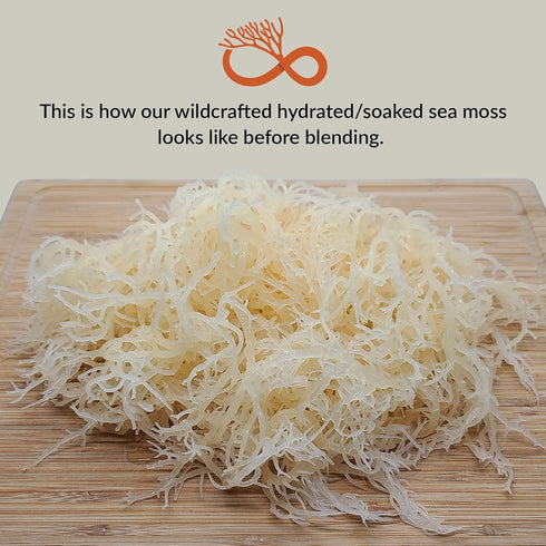 Infinity Seamoss 100% (8oz) - Sea Moss Gel + Northern California Local Honey | St. Lucia Wildcrafted Sea Moss | Organic