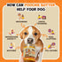 Poochie Butter 16 Oz (Pack 2) Natural Dog Peanut Butter - Made in USA Healthy, Creamy Peanut Butter Spread for Lick