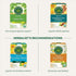 96 (6 Pack) Traditional Medicinals Tea, Organic Peppermint, Soothes Your Belly, Refreshing & Minty, Tea Bags