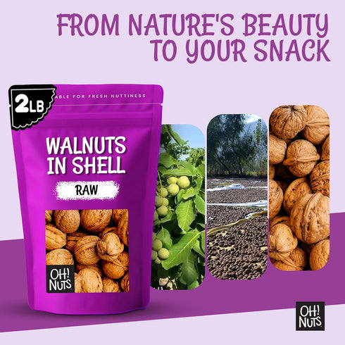 100% 2 lb Packed Oh! Nuts Walnuts in Shell - Raw - Natural - - Whole Walnuts for a Healthy Vegan Snack - in New York