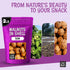 100% 2 lb Packed Oh! Nuts Walnuts in Shell - Raw - Natural - - Whole Walnuts for a Healthy Vegan Snack - in New York