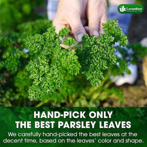 4 oz 100% Lavendium, Premium Dried Parsley Leaves Pure, Non-GMO, Gluten-Free, Vegan Aromatic Culinary Herb for Cooking
