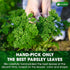 4 oz 100% Lavendium, Premium Dried Parsley Leaves Pure, Non-GMO, Gluten-Free, Vegan Aromatic Culinary Herb for Cooking