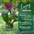 19 Better-GRO Hanging Kokedama with Phalaenopsis Orchid Indoor/Outdoor Planter- Pink