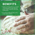 2 LB Jiva Organics Buckwheat Flour (Dark) Bag - Vegan, Non-GMO, Kuttu, Earthy Flavor