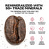 10.9 Danger Coffee by Dave Asprey, Remineralized, Mold Free & Lab Tested Swiss Water Decaf Whole Bean Coffee, Medium