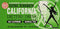 Evergreen Leaves 1 BOX CALIFORNIA DIETERS' DRINK EXTRA STRENGTH TEA 1.76 OZ