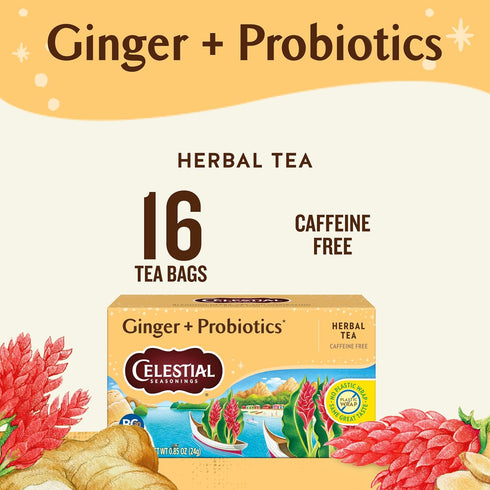 16 (Pack 6) Celestial Seasonings Ginger + Probiotics Herbal Tea, Caffeine Free, Tea Bags Box