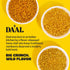 Packed 27g Pack 9 Count Daal Crunchy & Spicy Snacks Healthy Snacks Made from Mung Beans Gluten Free & Nut Free Moong