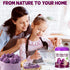 24oz (680g) Pack Purple Sweet Potato Powder - Natural Food Coloring for Baking, Drinks & SmoothiesUbe/Purple Yam