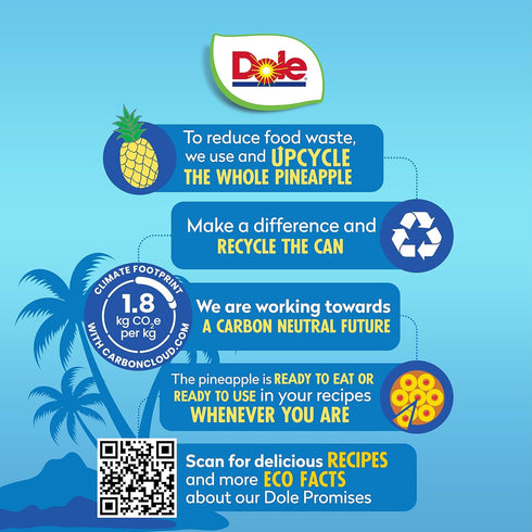 100% 20 oz 12 Pack Dole Pineapple Slices in Pineapple Juice with No Sugar Added - Dole Canned Fruit - Cans