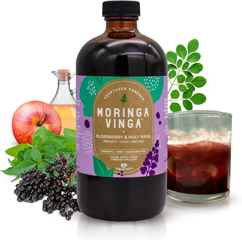 VINGA Organic Elderberry & Holy Basil Moringa Infusion Daily Herbal Tonic with Apple