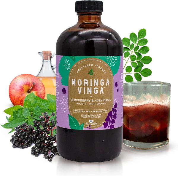 VINGA Organic Elderberry & Holy Basil Moringa Infusion Daily Herbal Tonic with Apple