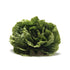 Fresh Produce 3 Count Lettuce Romaine Hearts Organic