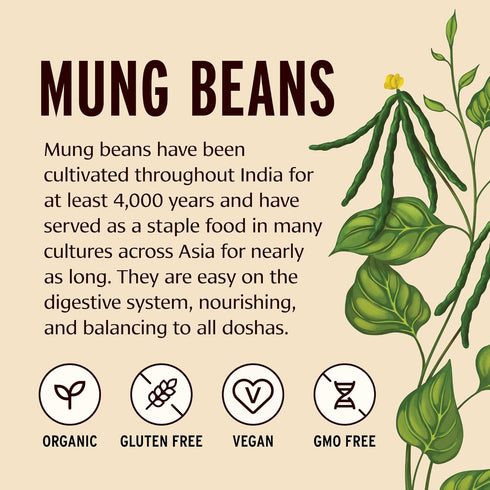 1.65 lb. Banyan Botanicals Green Mung Beans Whole Organic Green Mung Beans for Cooking High Protein Vegetarian Meals
