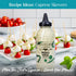 12.5 oz Terrapin Ridge Farms Pesto Aioli Garnishing Sauce Bright Basil & Garlic Flavor Perfect for Grilled Chicken