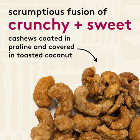2.5 oz 6 Pack Snak Club Coconutty Cashews, Kettle Cooked Fancy Cashews with Toasted Coconut, Gluten-Free and Kosher