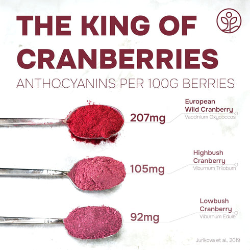 5 Jungle Powders Wild Cranberry Powder Organic Ounces, USDA Certified Freeze Dried Organic Cranberries Powder