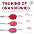 5 Jungle Powders Wild Cranberry Powder Organic Ounces, USDA Certified Freeze Dried Organic Cranberries Powder