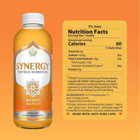16 oz Immune SYNERGY The Real Kombucha - Mystic Mango - fl Bottle - Raw Probiotic Drink for Gut Health and Support