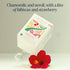 15 Count (Pack 1) Rishi Tea Garden Party Herbal Tea - Organic, Caffeine Free Sachet Bags, Chamomile Botanical Blend