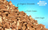 (1 OZ, Freeze Dried Ice Cream Chocolate Ice Cream That Doesnt Melt Rich Creamy Crunchy Treat Rocky Mountain Freeze Dry