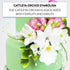 1 Count Global Sugar Art Cattleya Orchid Sugar Cake Flowers Arched Spray, White, by Chef Alan Tetreault