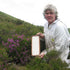John Mellis Apiaries 12 Scottish Ling Heather Honey, Ounce Jar