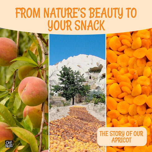 1 lb Packed Oh! Nuts Dried Apricots Turkish - - Dried Fruit - No Sugar Added - Dehydrated Fruit Bites - in New York