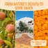 1 lb Packed Oh! Nuts Dried Apricots Turkish - - Dried Fruit - No Sugar Added - Dehydrated Fruit Bites - in New York