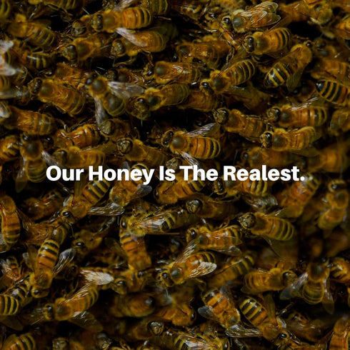100% (16 Oz) HoneyPlusCo | Natural Raw Unfiltered Honey - Orange Blossom