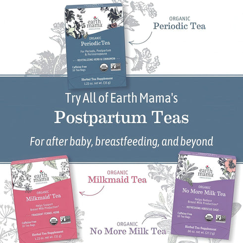 Earth Mama 32 Organic Red Raspberry Leaf Tea | Labor Prep & Menstrual Support Herbal Tea, Pregnancy & Postpartum Care