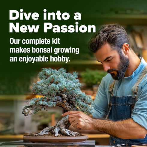 4 Bonsai Tree Kit Gifts for Men & Women - Grow Bonsai Trees - Unique Gardening Crafts for Adults, DIY Hobbies for Plant