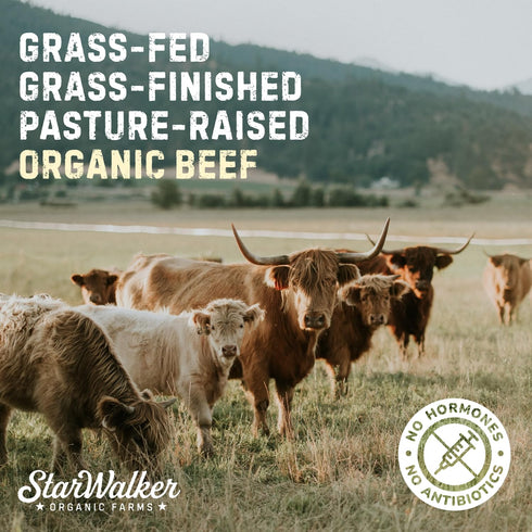 12 oz 4-Pack 3 172g Starwalker Organic Cherrywood Smoked Beef Jerky Regenerative Organic Certified Ingredients, Single
